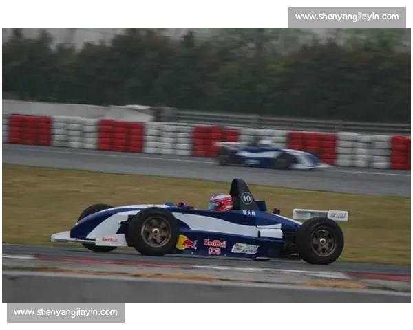 F1排位赛全程解析及顶尖车手争夺杆位的精彩瞬间