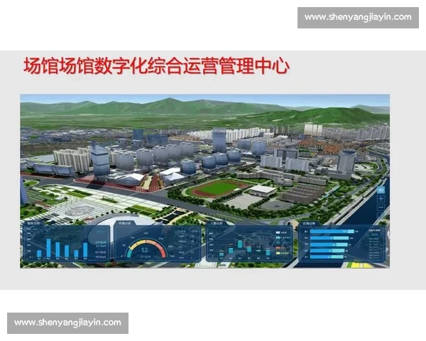 体育管理实践中的策略创新与运营效率提升研究探索