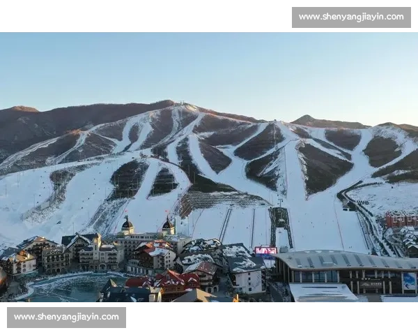 聚焦冬奥会核心项目冰雪竞技魅力与技术发展全景探索之旅深度解读