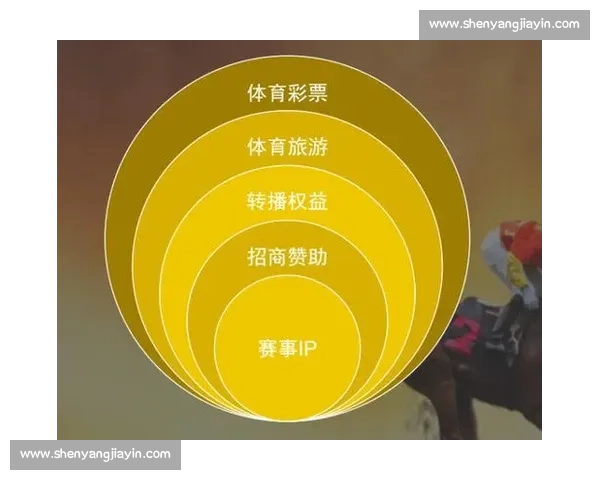 体育赛事组织与运营管理创新模式研究与实践探索